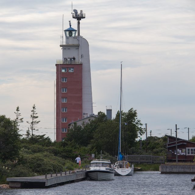 Kylmäpihlaja