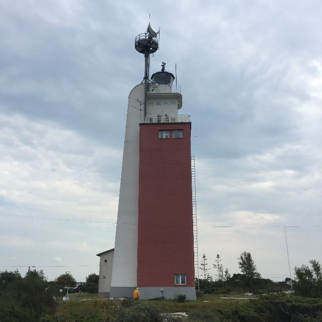 Kylmäpihlaja