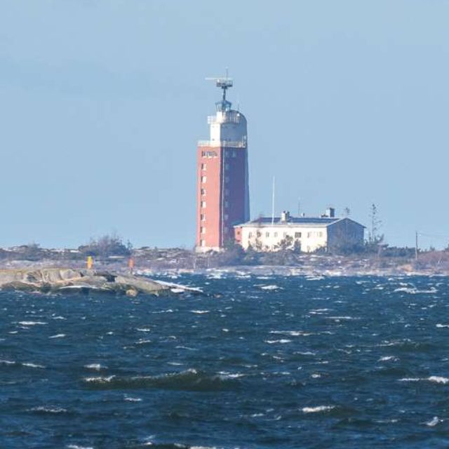 Kylmäpihlaja