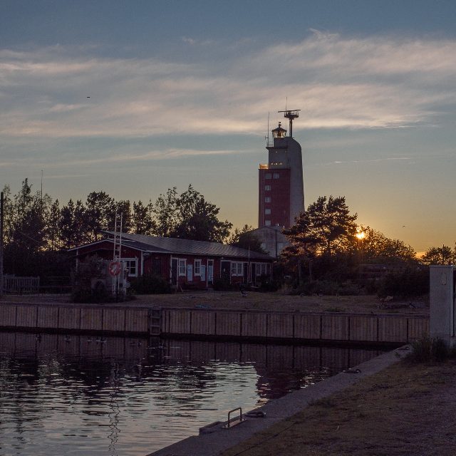 Kylmäpihlaja