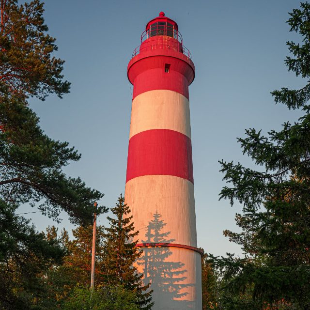 Sälgrund